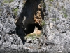 Grotta della Gola