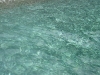 dscn0604