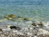 dscn0629