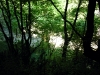 dscn0426 dscn0426