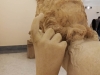 Venere al bagno