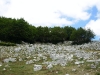 dscn7298