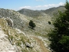 Ultimi faggi in quota