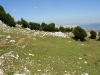 dscn7317