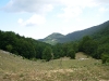 Vallivona