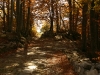Colle della Beta