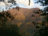 Monte Scuro