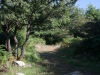 Monte Stella