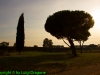 Acquedotto Felice