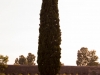 Acquedotto Felice