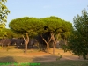 Parco degli Acquedotti