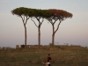 Acquedotto Felice