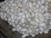 dscn5181