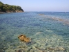 Resti porto greco-romano