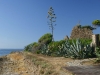 Torre di Punta Licosa