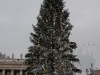 Albero di Natale