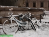 Piazza Farnese