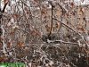 CRW_5084