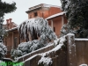 Campidoglio