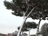Via dei Fori Imperiali