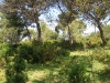 dscn6955
