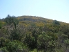 Costa del Bizzocco