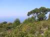 dscn6961