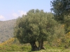 dscn6975