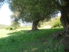 dscn6981