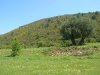 dscn6987