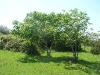 dscn6988