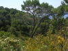 dscn7006